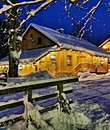 apartments Kuznice 13