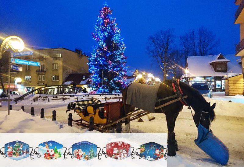 Zakopane Krupowki street with horse sleigh