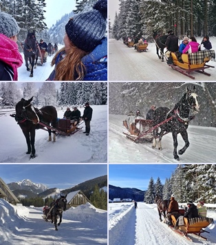 sleigh rides in the Tatra National Park