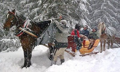 sleigh ride in the Chocholowska Valley