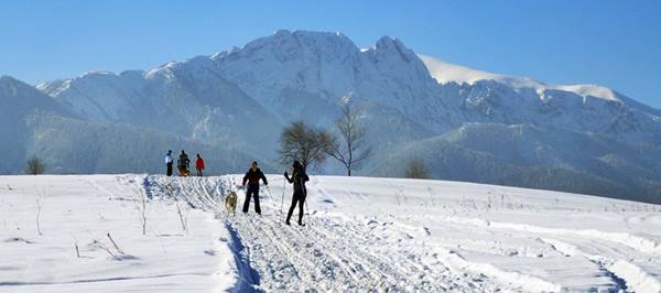 Zakopane cross-country skiing on Bachledzki Wierch