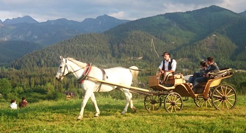horse drawn carriage on the top of Antalowka