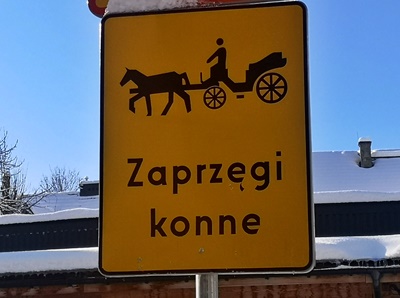 horse drawn carriage stop in Zakopane