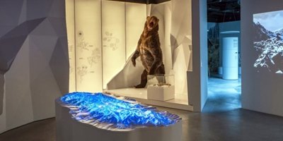 the underground nature education center