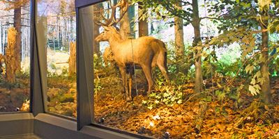 Zakopane the nature education center