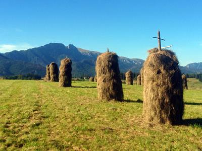 haystacks on Bachledzki Wierch