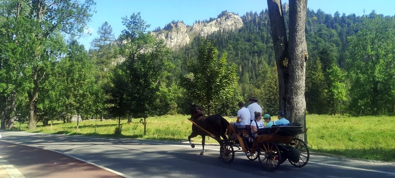 Return by carriage from Kuźnice to the center