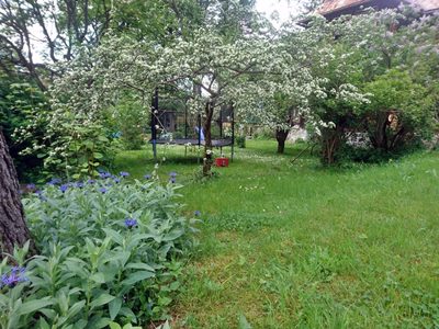 Zakopane house for sale