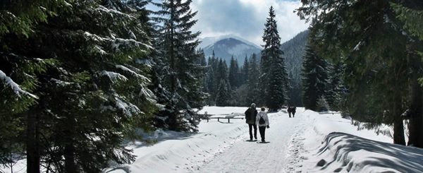 Chocholowska Valley