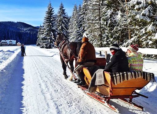 Zakopane sleigh ride in the Chocholowska Valley