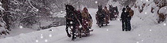 sleigh ride in the Tatra National Park