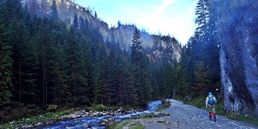 Koscieliska Valley