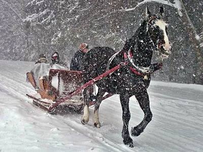 sleigh ride in snowy day