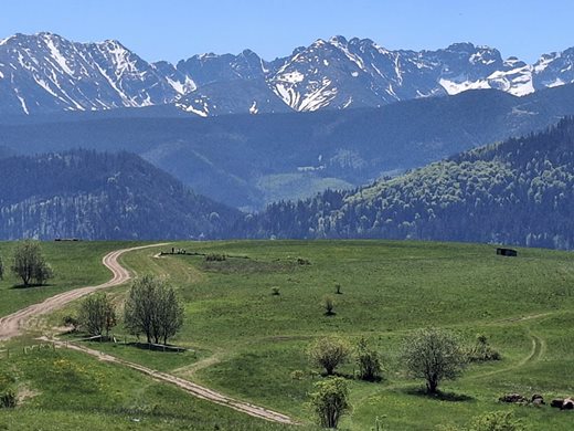 view of the Tatra Mountains from Bachledzki Wierch