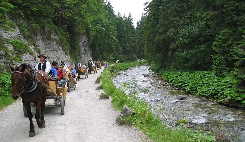 horse-drawn carriage ride in the Tatra National Park