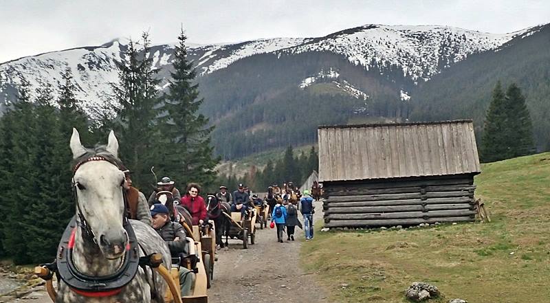 horse and carriage ride in the Chocholowska Valley